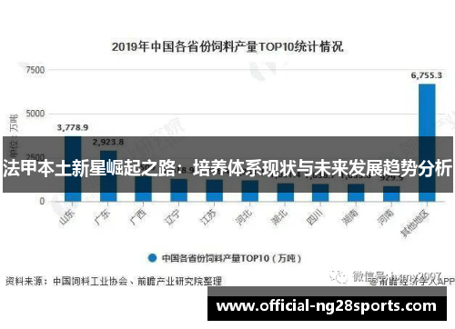 法甲本土新星崛起之路:培养体系现状与未来发展趋势分析 法甲本土新星崛起之路:培养体系现状与未来发展趋势分析