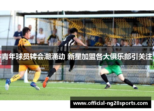 青年球员转会潮涌动 新星加盟各大俱乐部引关注 青年球员转会潮涌动 新星加盟各大俱乐部引关注