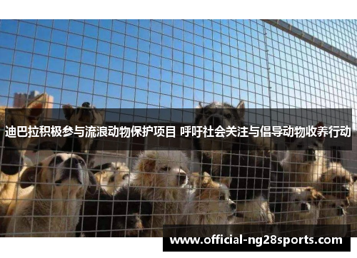 迪巴拉积极参与流浪动物保护项目 呼吁社会关注与倡导动物收养行动