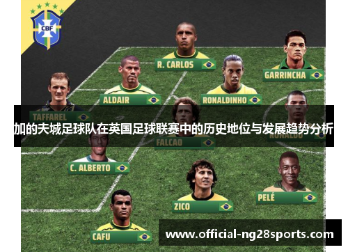 加的夫城足球队在英国足球联赛中的历史地位与发展趋势分析