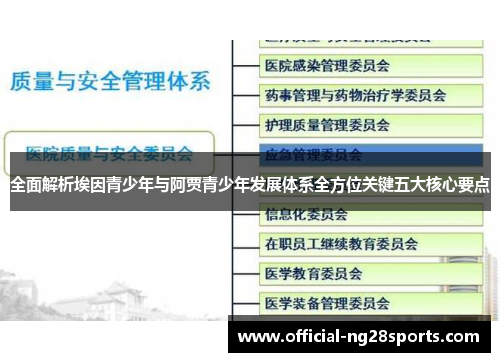 全面解析埃因青少年与阿贾青少年发展体系全方位关键五大核心要点 全面解析埃因青少年与阿贾青少年发展体系全方位关键五大核心要点