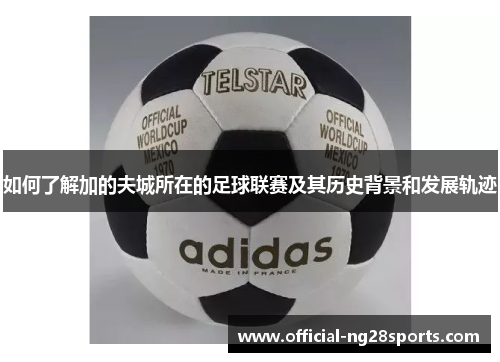 如何了解加的夫城所在的足球联赛及其历史背景和发展轨迹